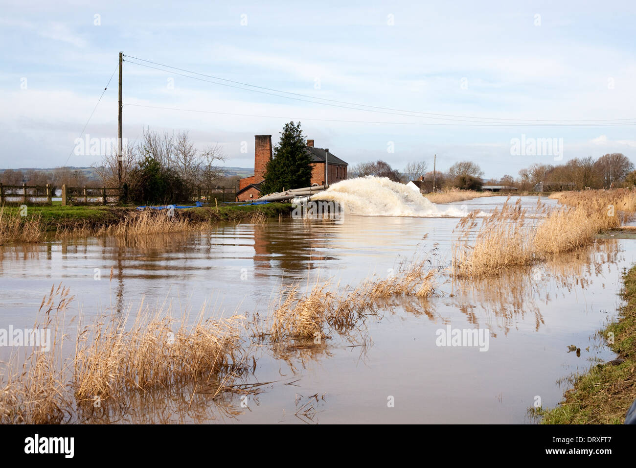 Wasser in den Fluss Parret, erleichtern das Hochwasser auf die Somerset Niveaus gepumpt Stockfoto