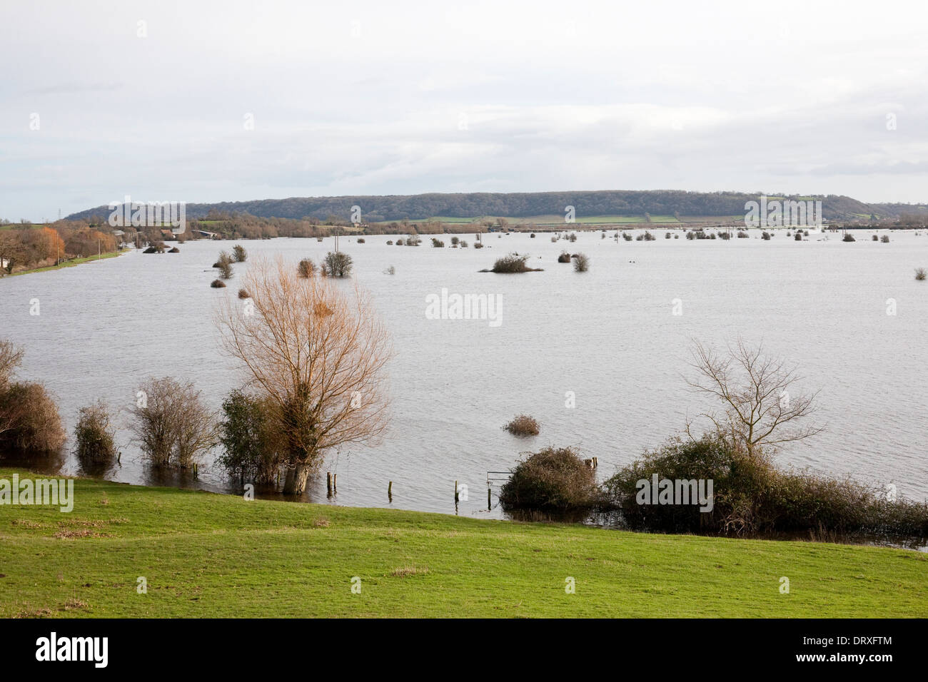 überschwemmte Felder auf der Somerset Ebene infolge von Stürmen, die der Westen des Landes im Jahr 2014 getroffen Stockfoto