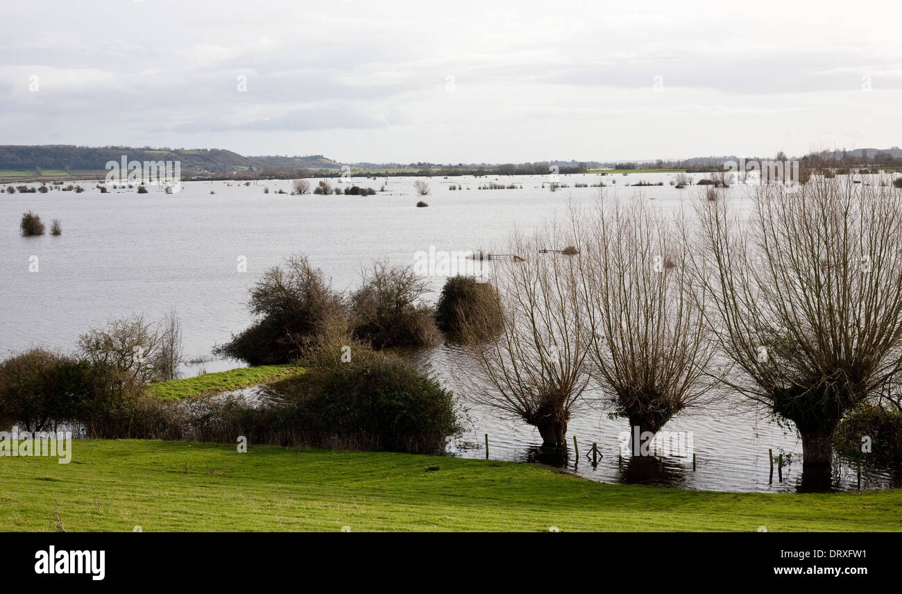 überschwemmte Felder auf der Somerset Ebene infolge von Stürmen, die der Westen des Landes im Jahr 2014 getroffen Stockfoto