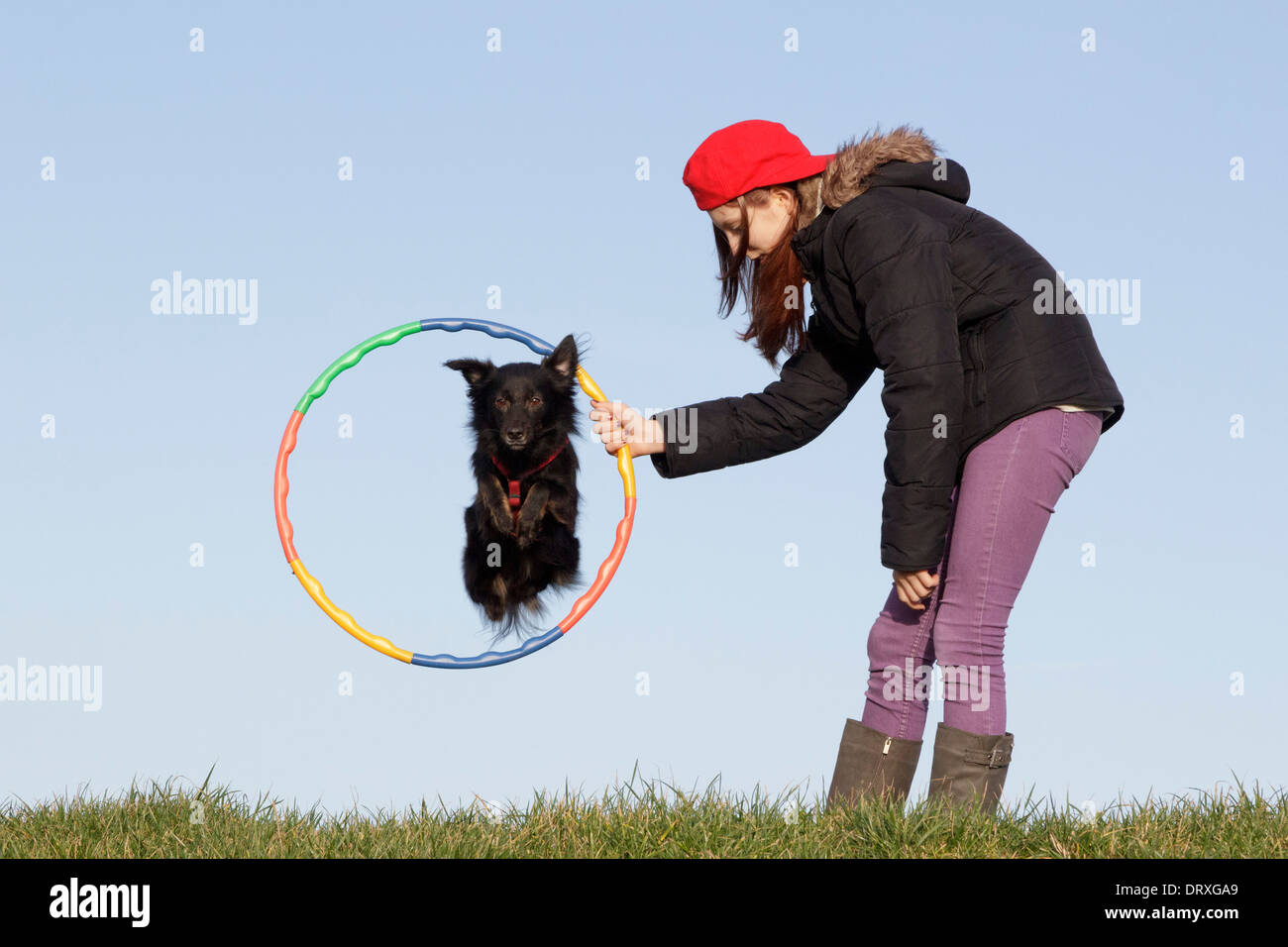 junge Mädchen, das ihr Hund durch den Reifen springen Stockfoto