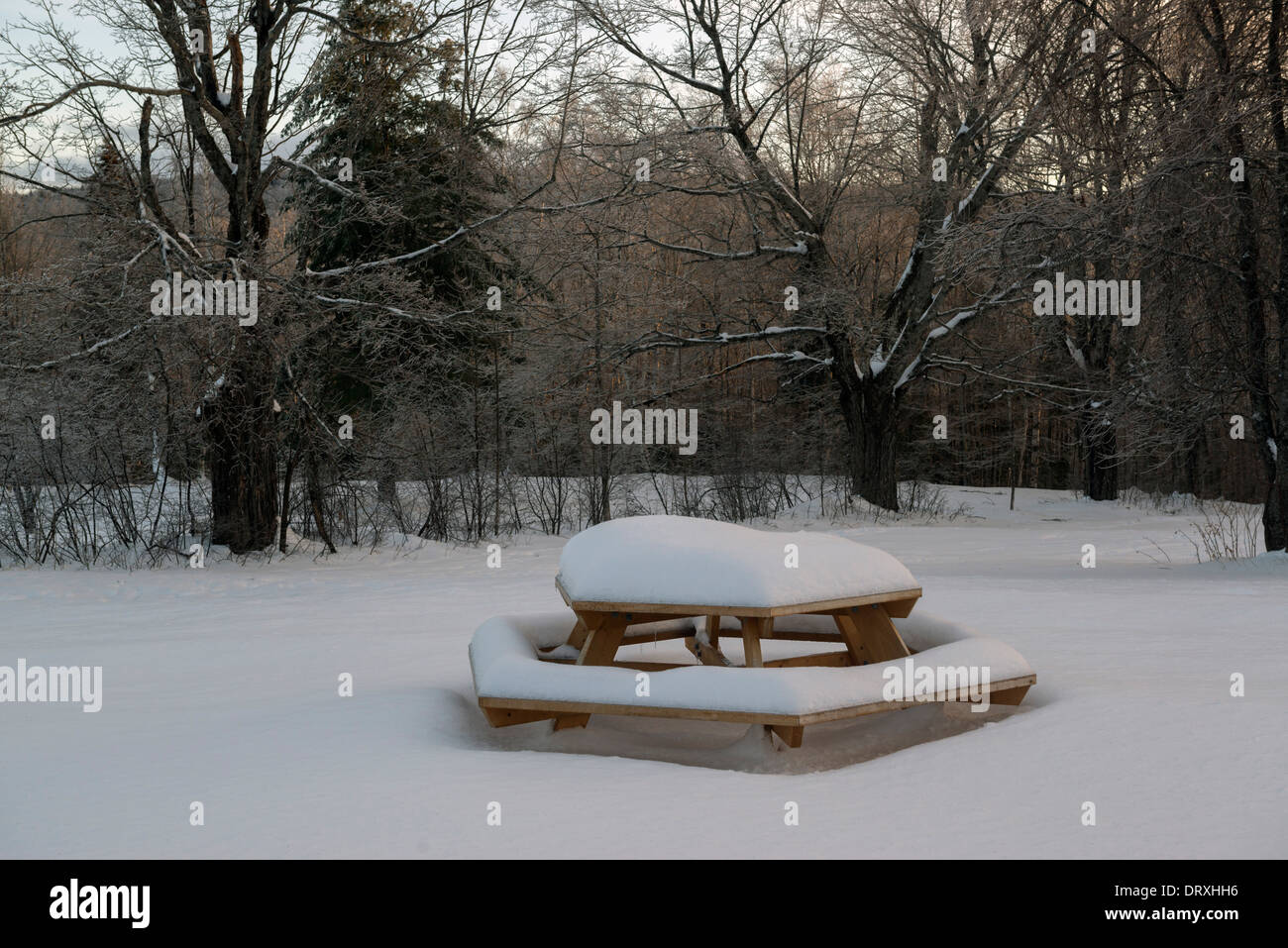 Schnee bedeckt Picknick-Tisch, Phillips, Maine. Stockfoto