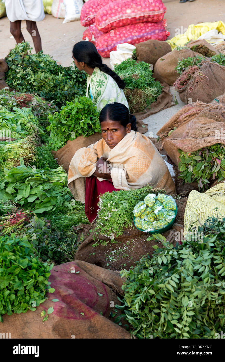 Indien Frauen verkaufen Sträuße frischer Kräuter auf einem indischen Markt. Andhra Pradesh, Indien Stockfoto