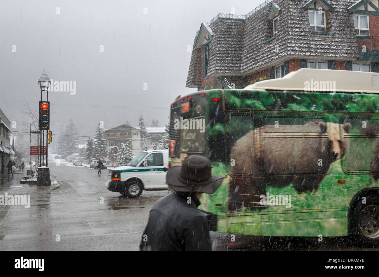 Bär aussehen. Eine verzierte Bus vorbei ein Passant in einem Schneegestöber in Banff, Kanada Stockfoto