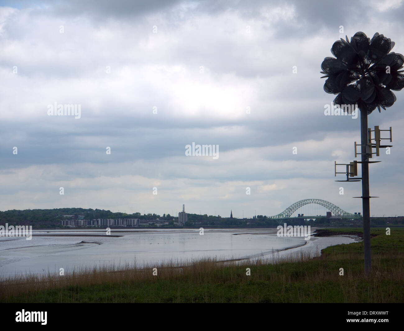 Zukünftige Blumenskulptur am Fluss Mersey mit der silberne Jubiläum-Brücke im Hintergrund Stockfoto