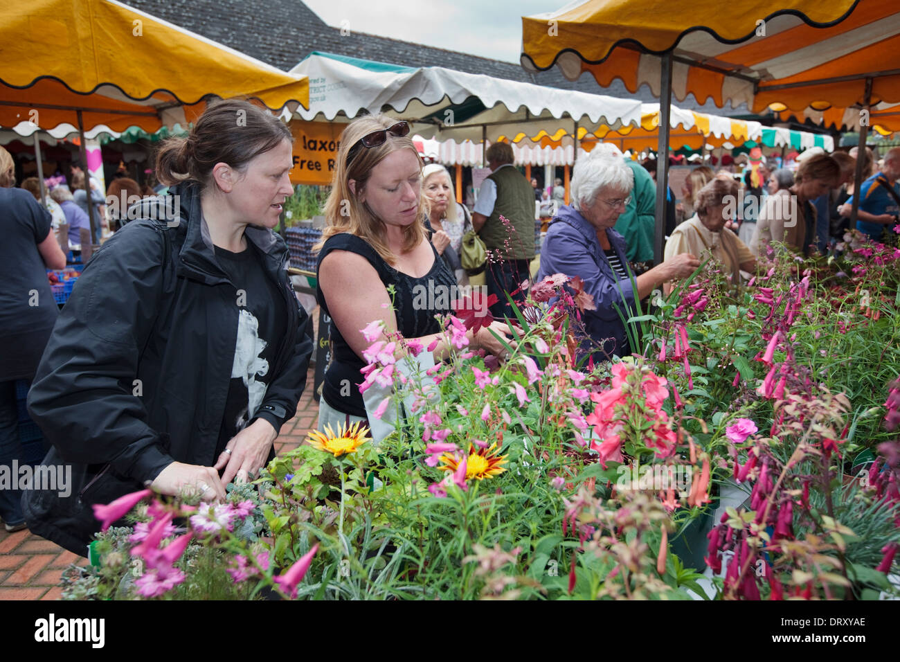 Bauernmarkt in Stroud, Gloucestershire UK Stockfoto