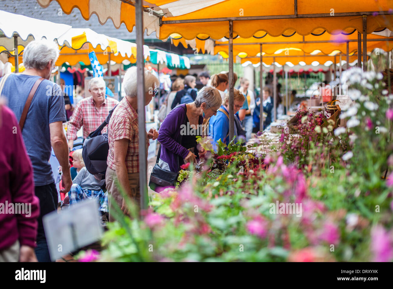 Bauernmarkt in Stroud, Gloucestershire UK Stockfoto