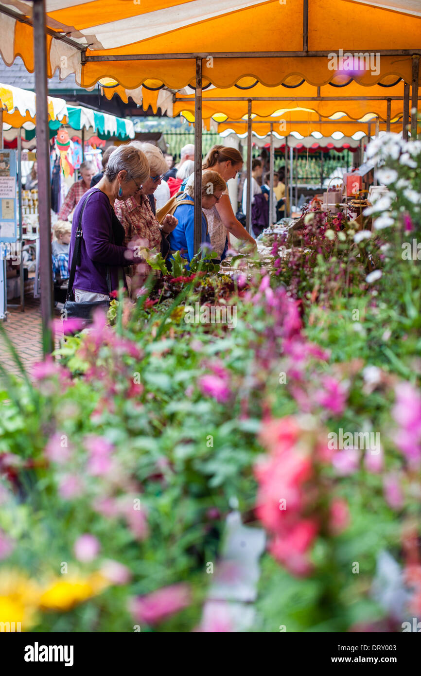 Bauernmarkt in Stroud, Gloucestershire UK Stockfoto