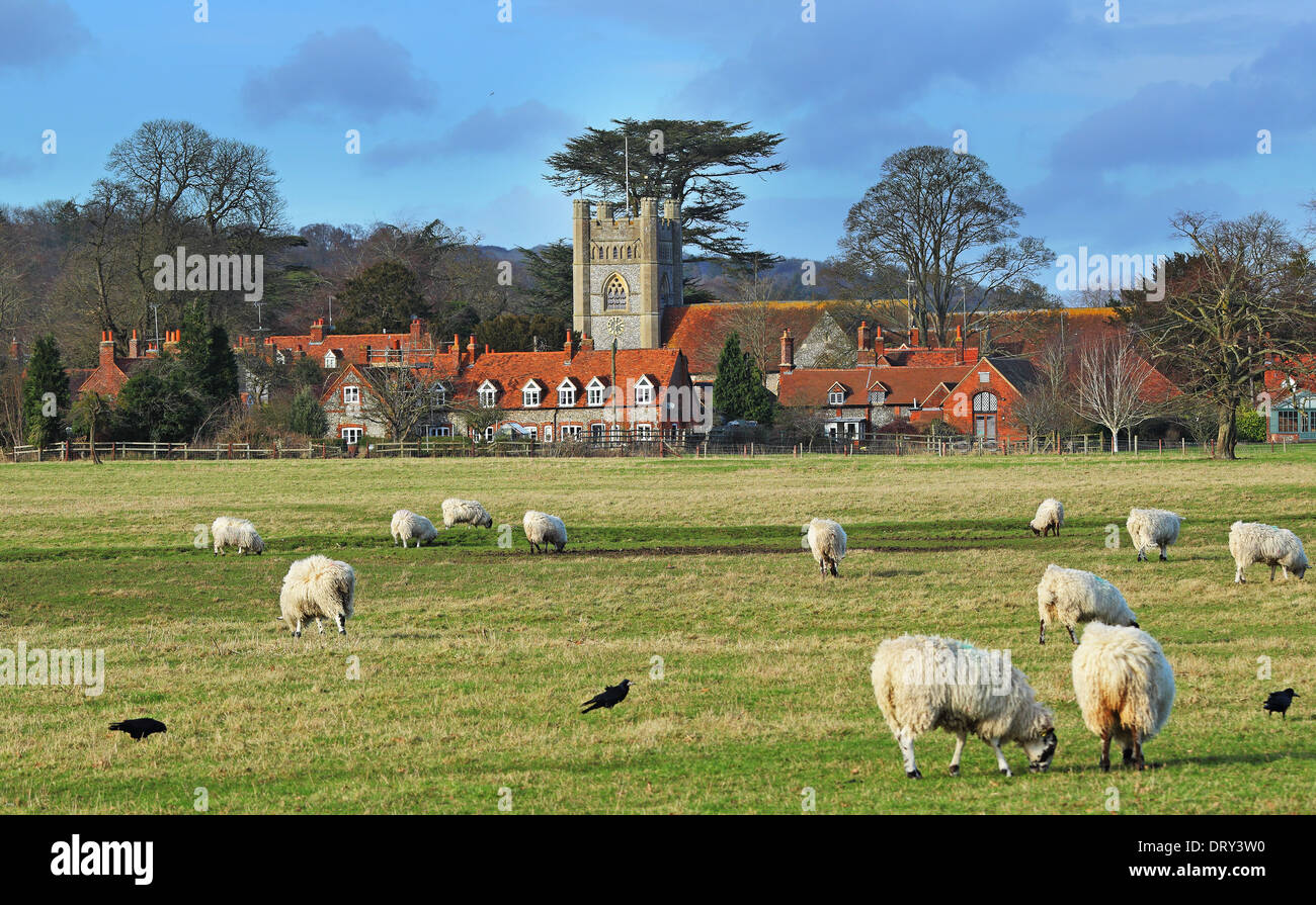 Eine ländliche Landschaft in den Chiltern Hills in England mit weidenden Schafen und das Dorf Hambleden Stockfoto