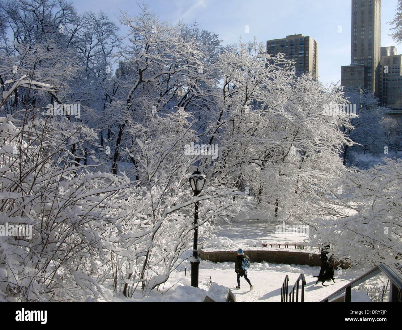 New York, USA. 4. Februar 2014. Foto aufgenommen am 4. Februar 2014 zeigt die verschneite Landschaft des Central Park in New York City in den Vereinigten Staaten. Bildnachweis: Gao Li/Xinhua/Alamy Live-Nachrichten Stockfoto