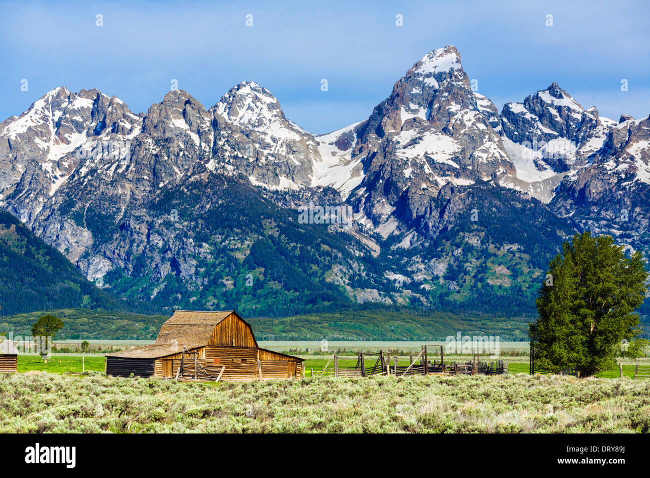 Historischen Mormone Zeile, Grand Teton National Park, Jackson Hole Valley, Wyoming, USA Stockfoto