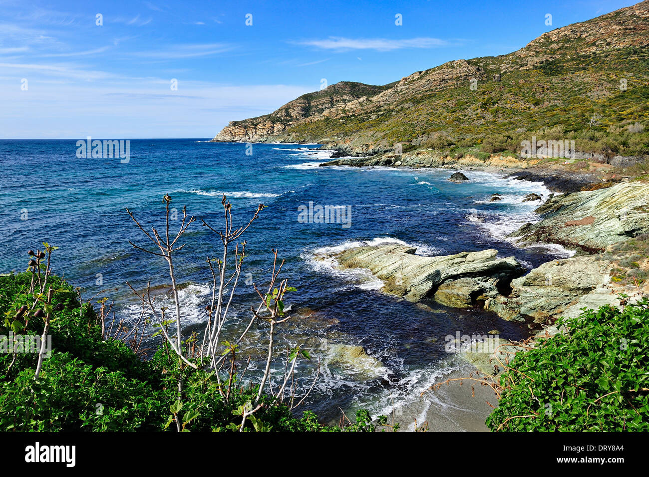 Kap Corse von Centuri, Korsika, Frankreich. Stockfoto