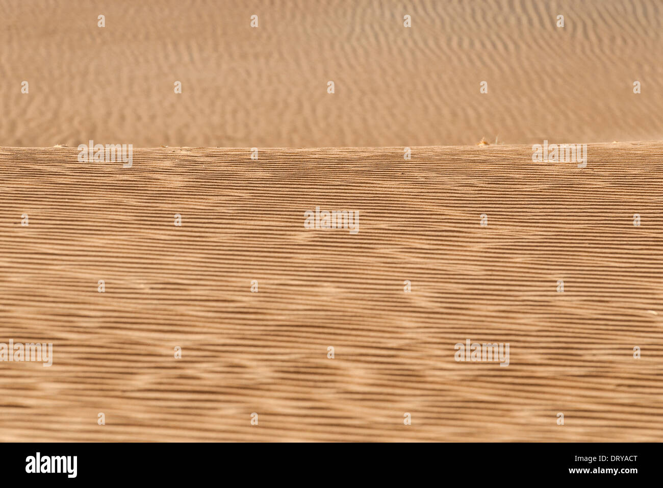 Wellige Sand in der Wüste, full frame Stockfoto
