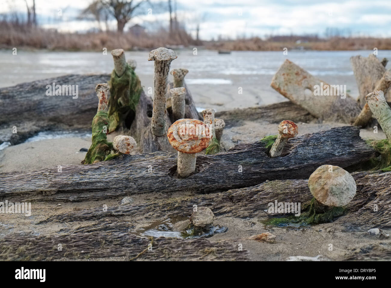 Holz, Schrauben und Gurte 125 Jahre alt, 290-Fuß aus Holz vom Dampfer aus Aurora, Schiffbruch im Jahr 1932 lag in dem Grand River in der Nähe Stockfoto