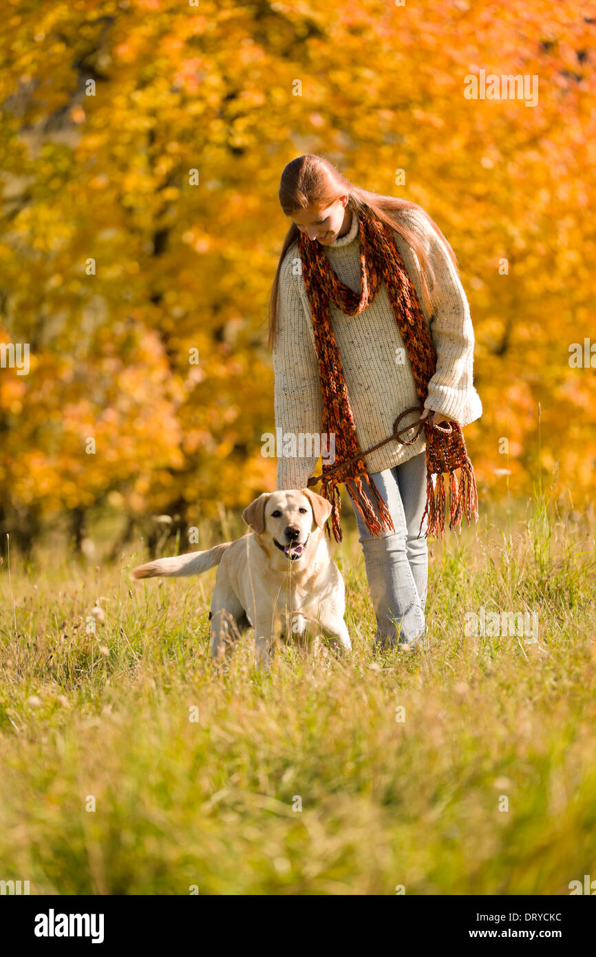 Herbstliche Land - Frau zu Fuß Hund auf Wiese Stockfoto
