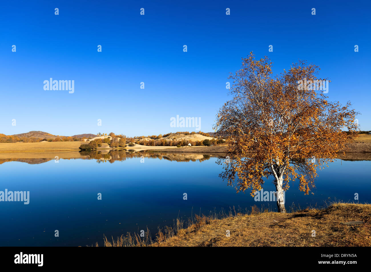 Herbstlandschaft See Stockfoto