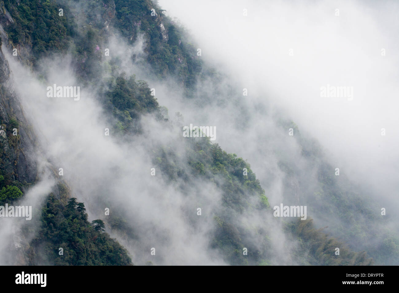 Nebel bekränzt den Berg Stockfoto