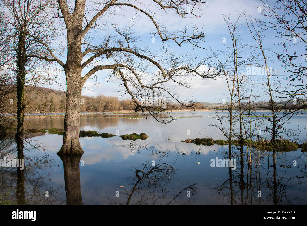 Überschwemmungen in Arundel West Sussex Stockfoto