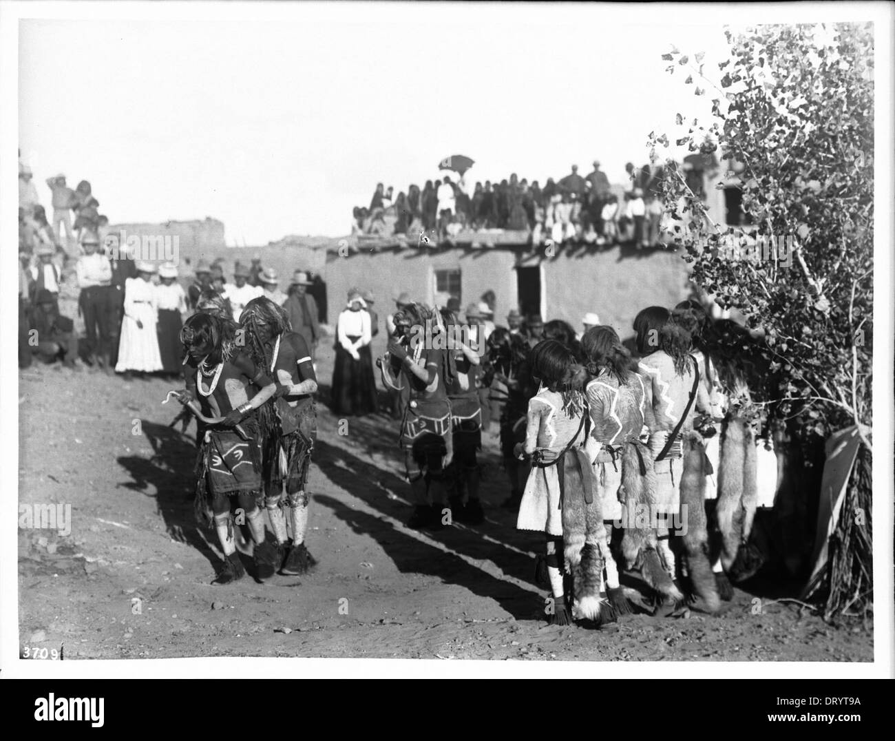 Eine Linie des Tanzes Braves in der Hopi Snake Dance Zeremonie mit Schaulustigen, Oraibi, Arizona, ca.1898 Stockfoto