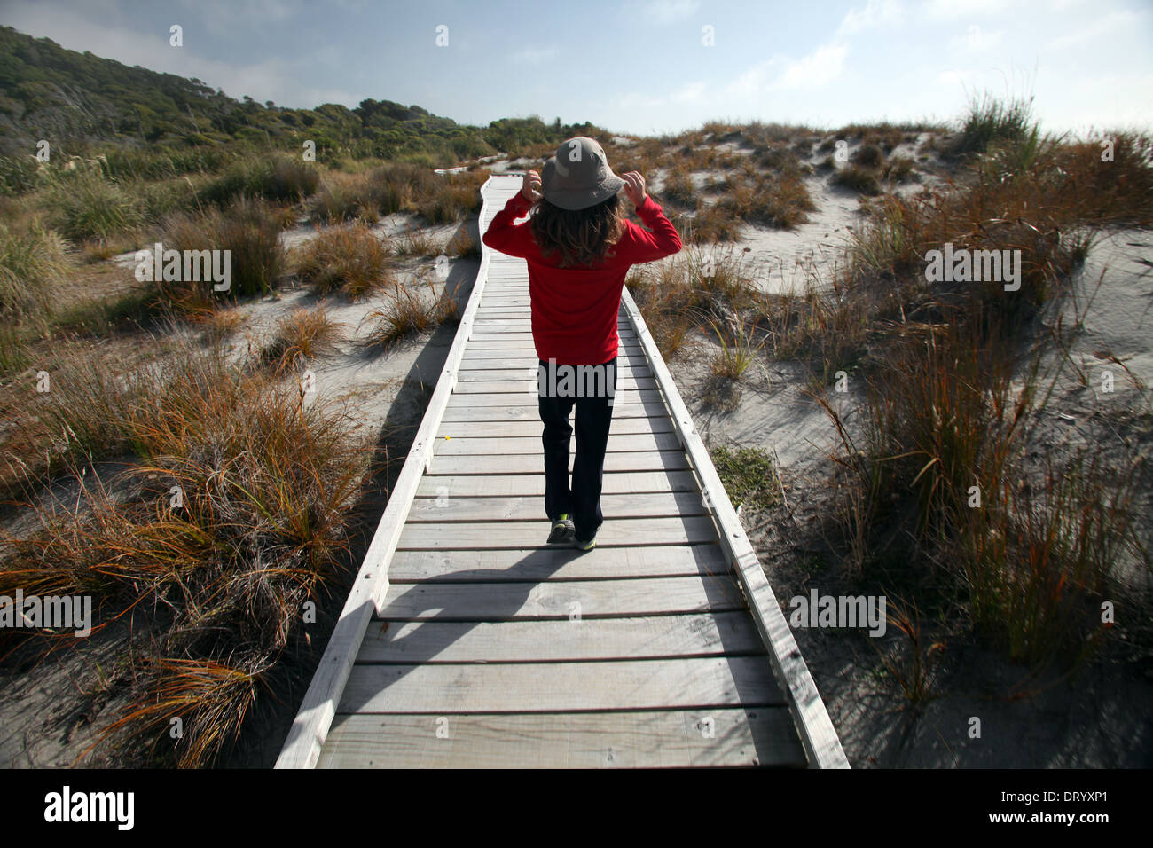 junges Mädchen am Schiffe Creek Gehweg, in der Nähe von Haast, Neuseeland Stockfoto