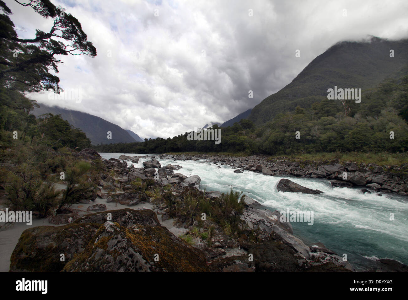 Der Waiatoto River, Haast, Neuseeland Stockfoto