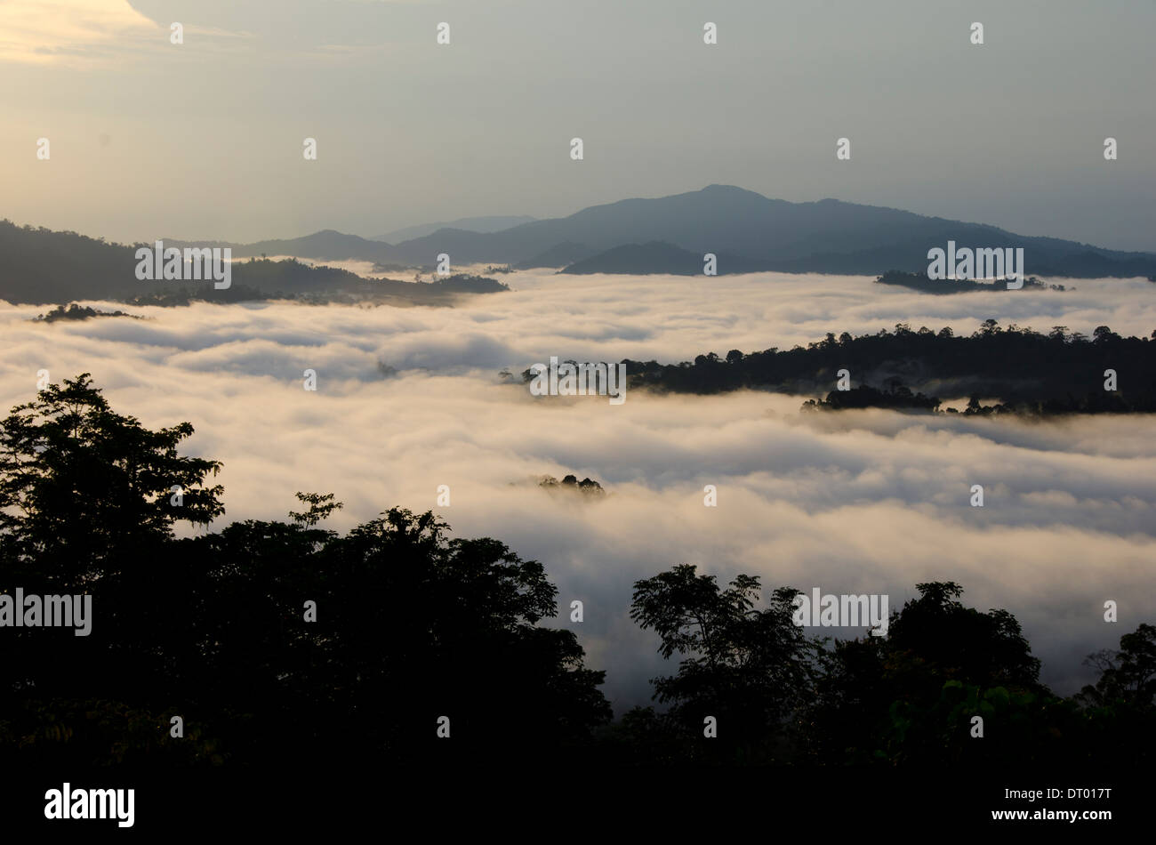 Niedrige Wolken Bedeckung Tal, Danum Valley, Ost-Malaysia, Sabah, Borneo Stockfoto