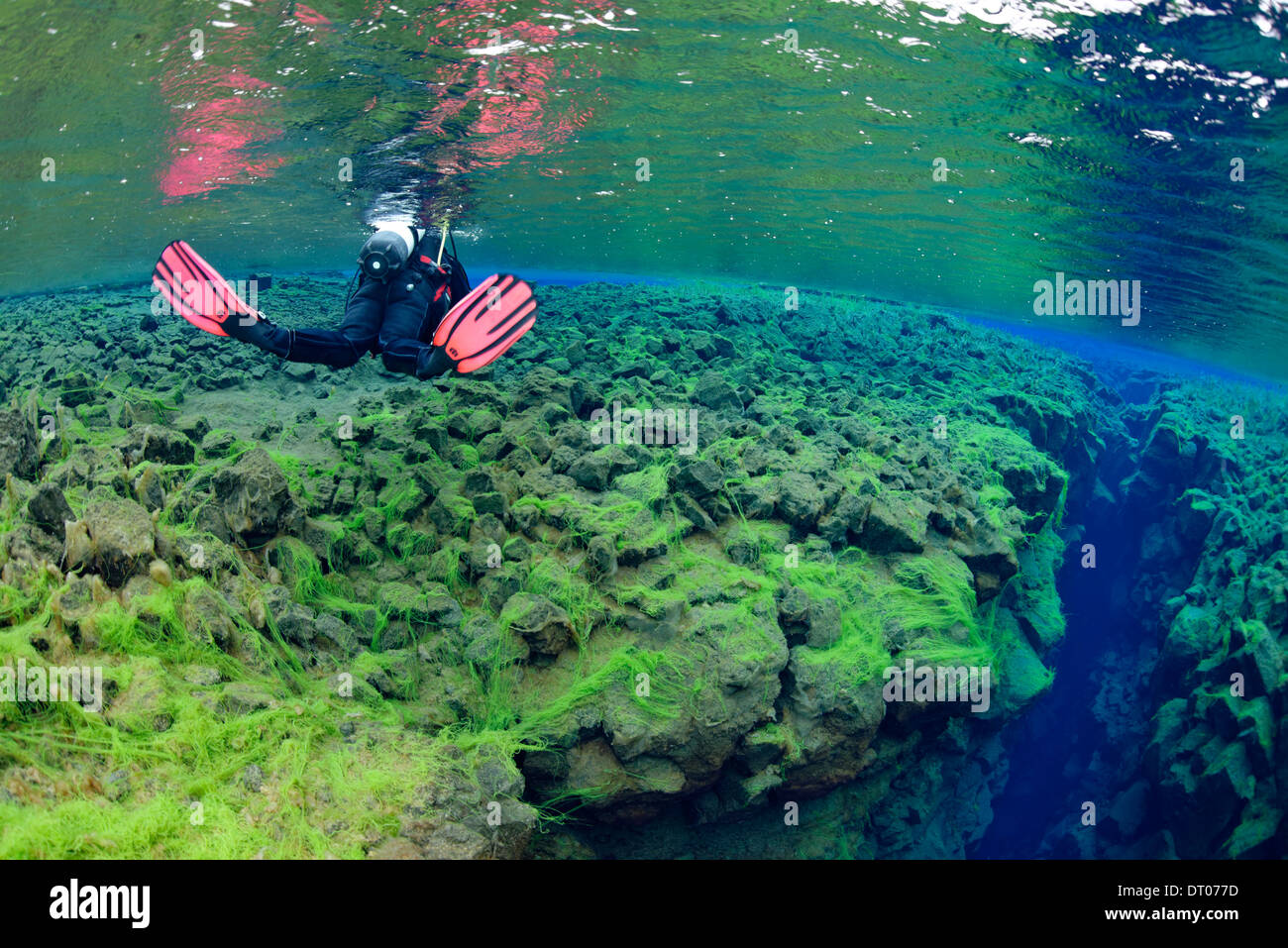 SILFA, die divergente tektonische Grenze zwischen der nordamerikanischen und eurasischen Platte, Island Stockfoto