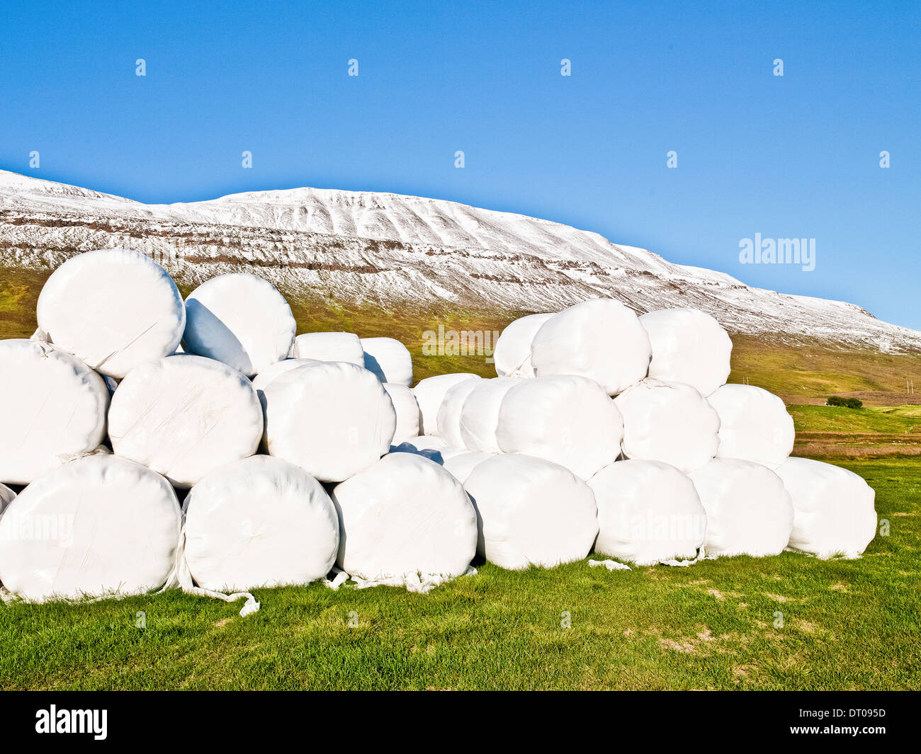 Heuballen gewickelt aus Kunststoff für den Winter zu bewahren. Eyjafjordur, Island Stockfoto