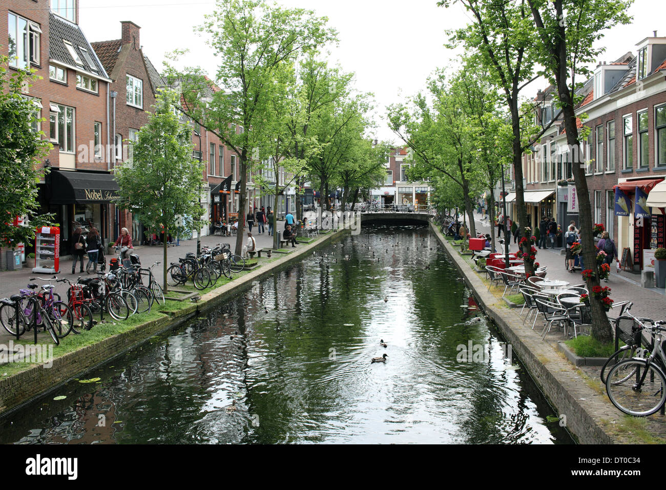 Molslaan, eine Straße mit Bäumen und Kanal am Rande der Innenstadt von Delft zierte. Stockfoto