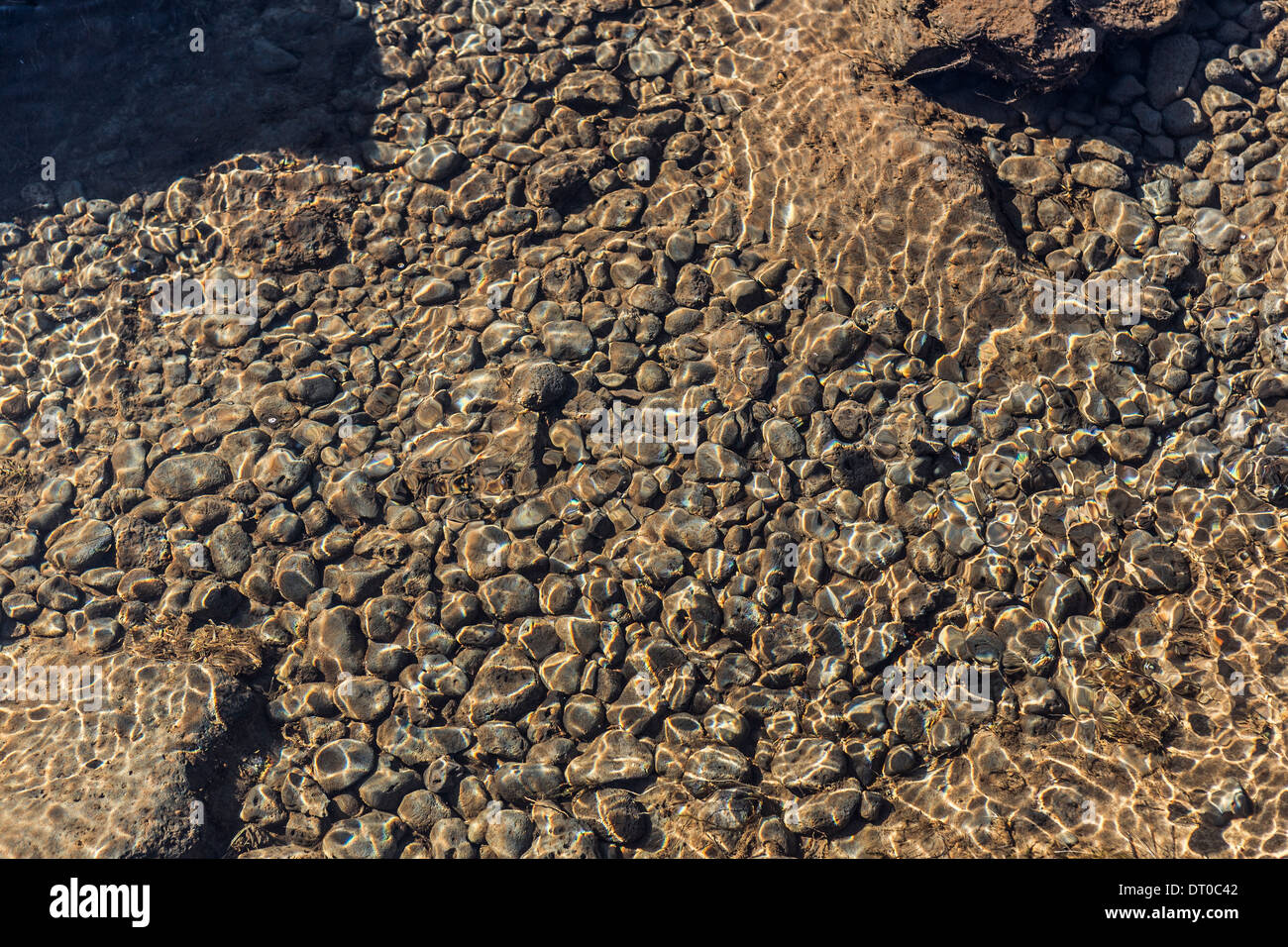 Reflexionen in ein frisches Wasser Gebirgsbach, Island Stockfoto