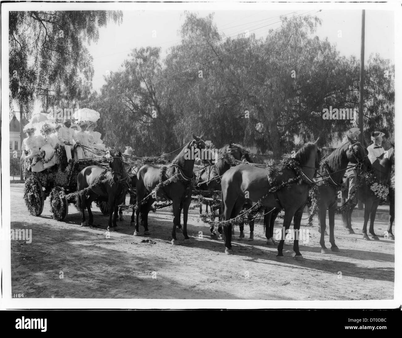 Dekorierte Kutsche, "Tallyho", von sechs schwarze Pferde während des Turniers von der Rosen-Parade, ca.1895-1899 Stockfoto