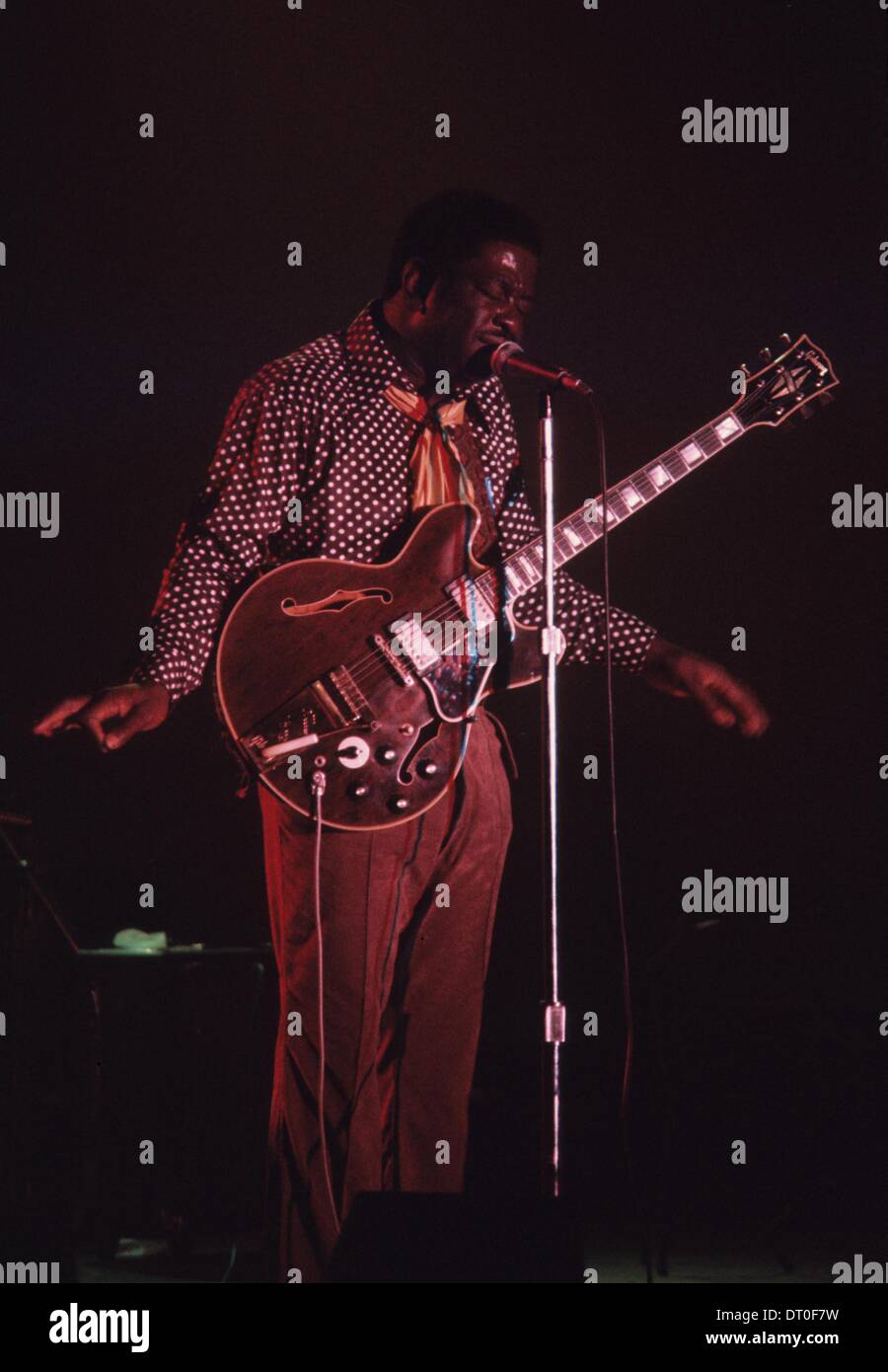 MIGHTY JOE YOUNG im kanadischen Vancouver, Juni 23, 1974.m4183. (Kredit-Bild: © Toby Rankin/Globe Photos/ZUMAPRESS.com) Stockfoto