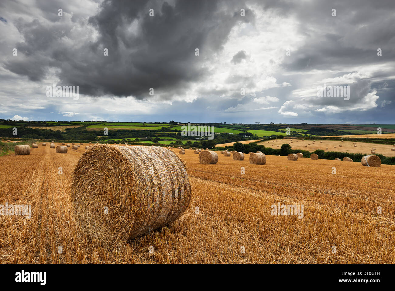Ein Feld von Heuballen befindet sich in der kornischen Landschaft unter einem Gewitterhimmel Stockfoto