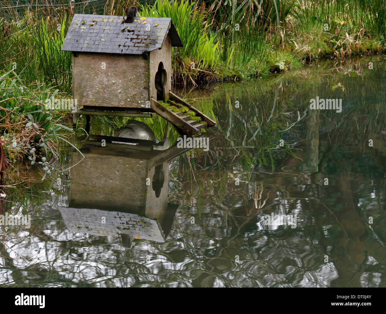 Kleine Ente Haus auf einem Teich. Stockfoto