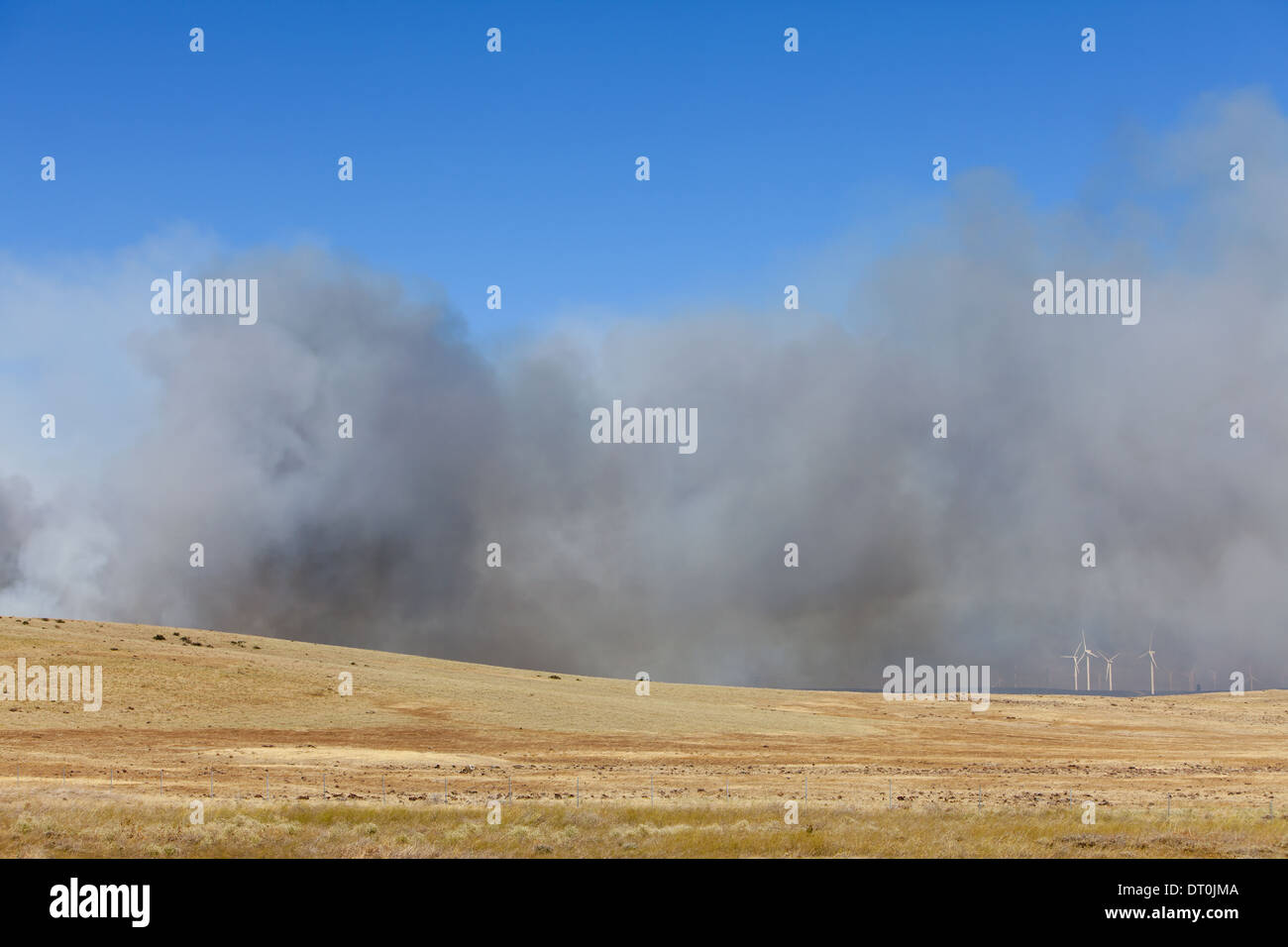 Washington State USA großen Waldbrand Ellensburg Kittitas county Stockfoto