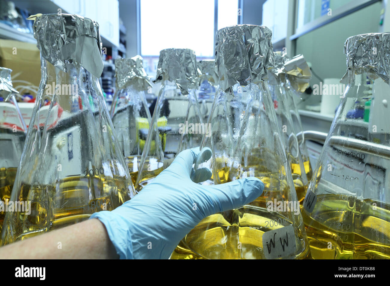 biologische steriles Medium Flaschen in einem Forschungslabor Stockfoto