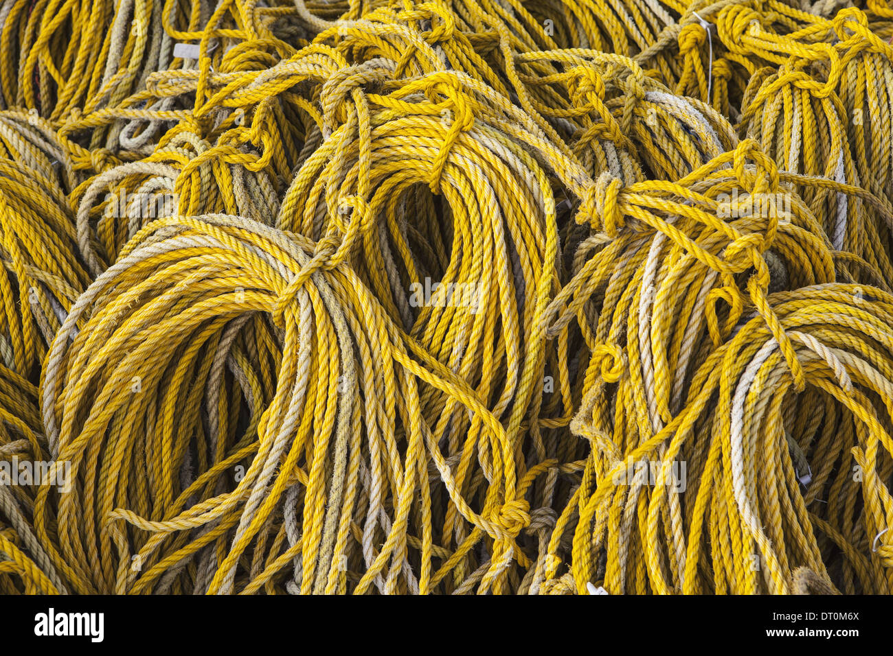 Oysterville Washington USA Reihen von kommerziellen Fanggeräten gewickelten gelbes Seil Stockfoto