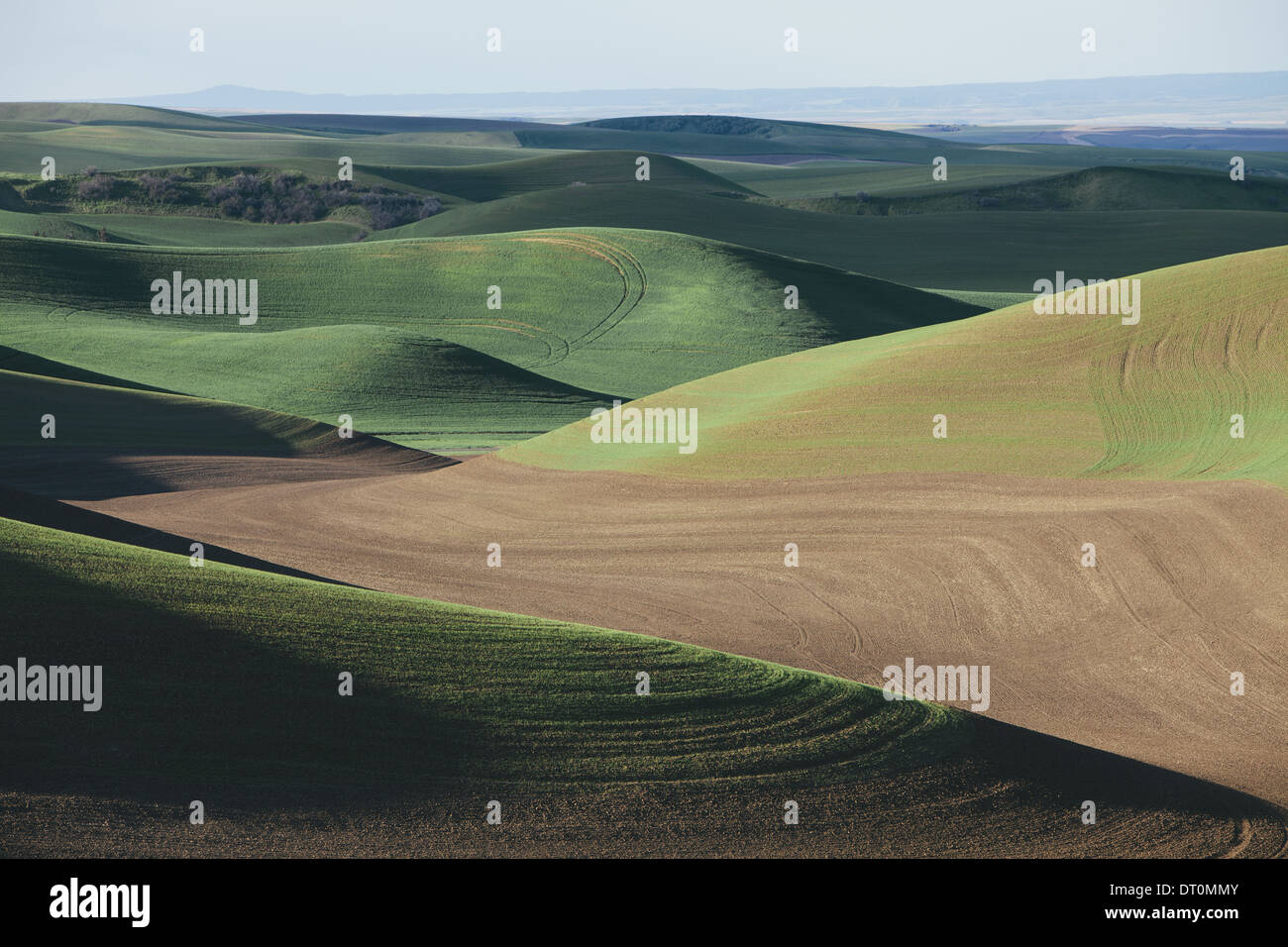 Washington USA Blick auf grünen Hügeln und bewirtschafteten Felder Stockfoto
