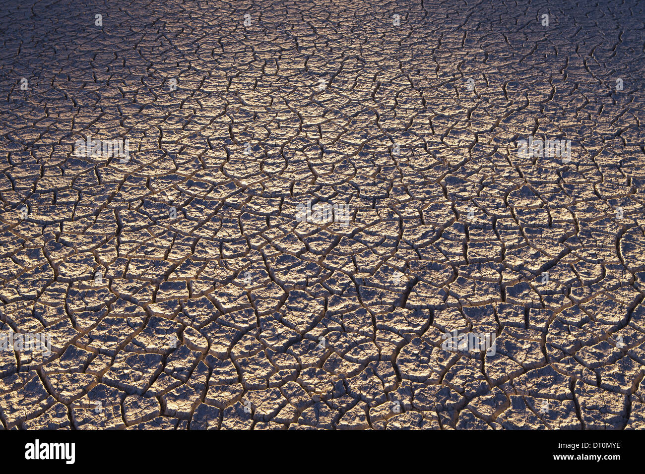 Black Rock Wüste Nevada USA geknackt Wüste Oberfläche Black Rock Wüste Nevada Stockfoto