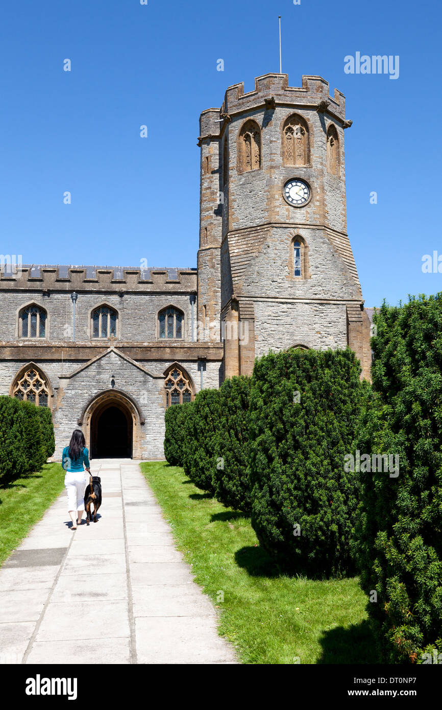 Frau zu Fuß Hund Weg vor St Michaels Kirche, Somerton, Somerset Stockfoto