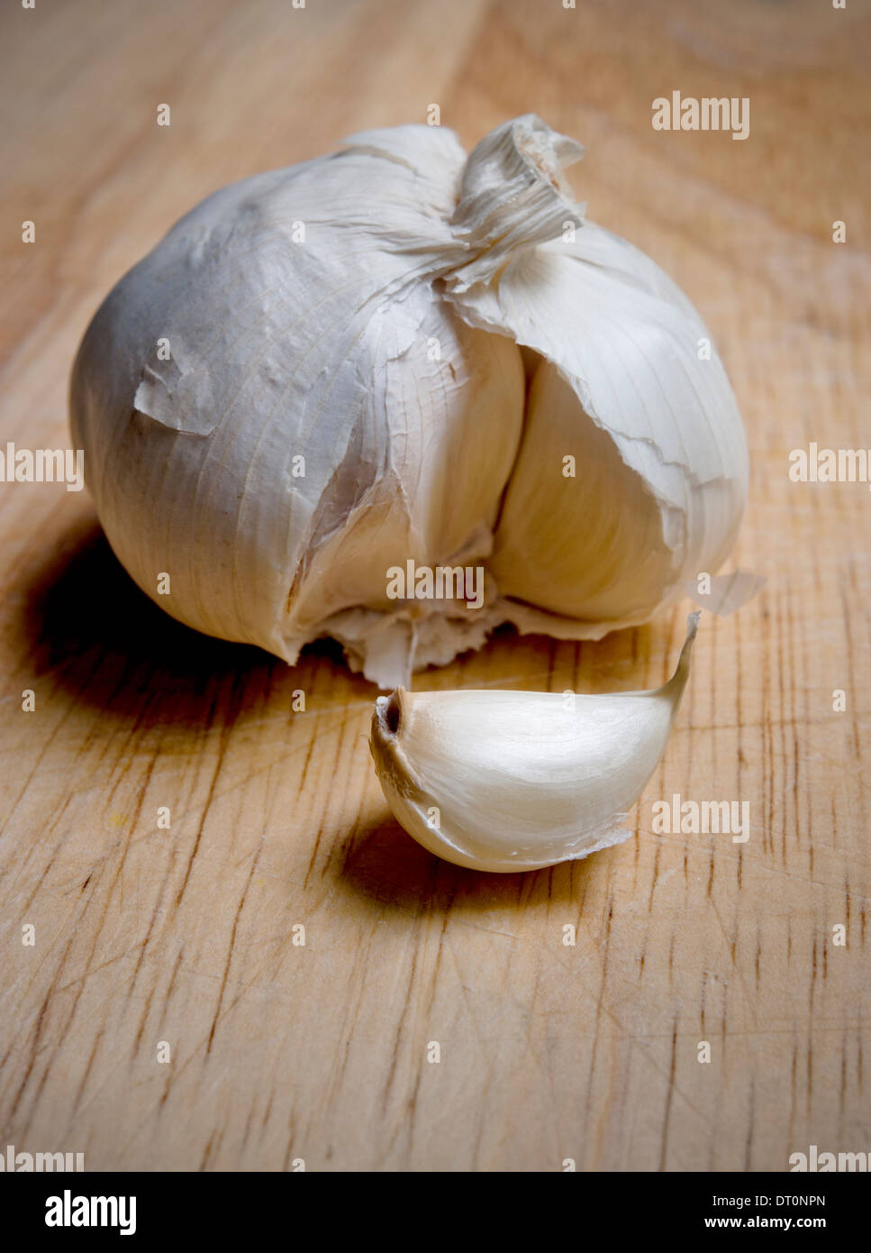 Knoblauchzehe sitzt separat vor Knoblauchzwiebel auf rustikalen Holztisch. Stockfoto