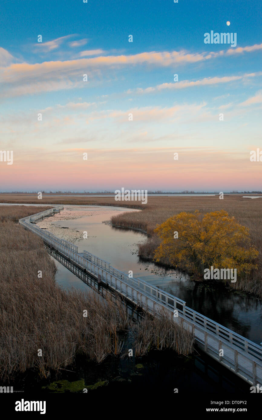 Punkt Pelee Nationalpark bei Sonnenuntergang Stockfoto