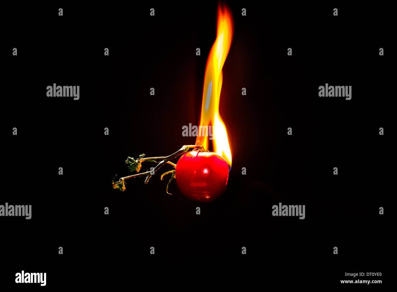 Tomate, Feuer, brennende Tomate, heiße Tomaten Stockfoto