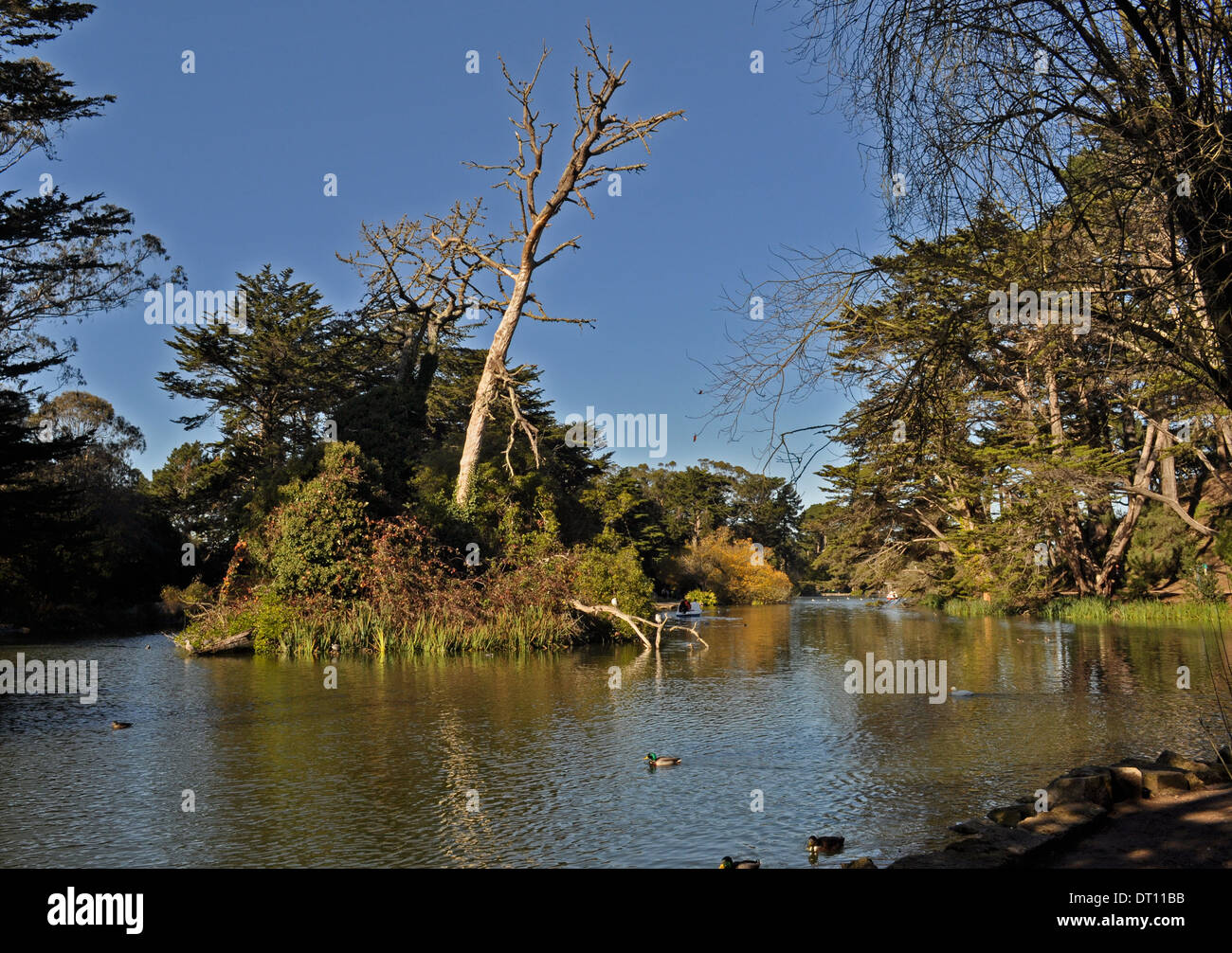 Stow Lake, Golden Gate Park Stockfoto