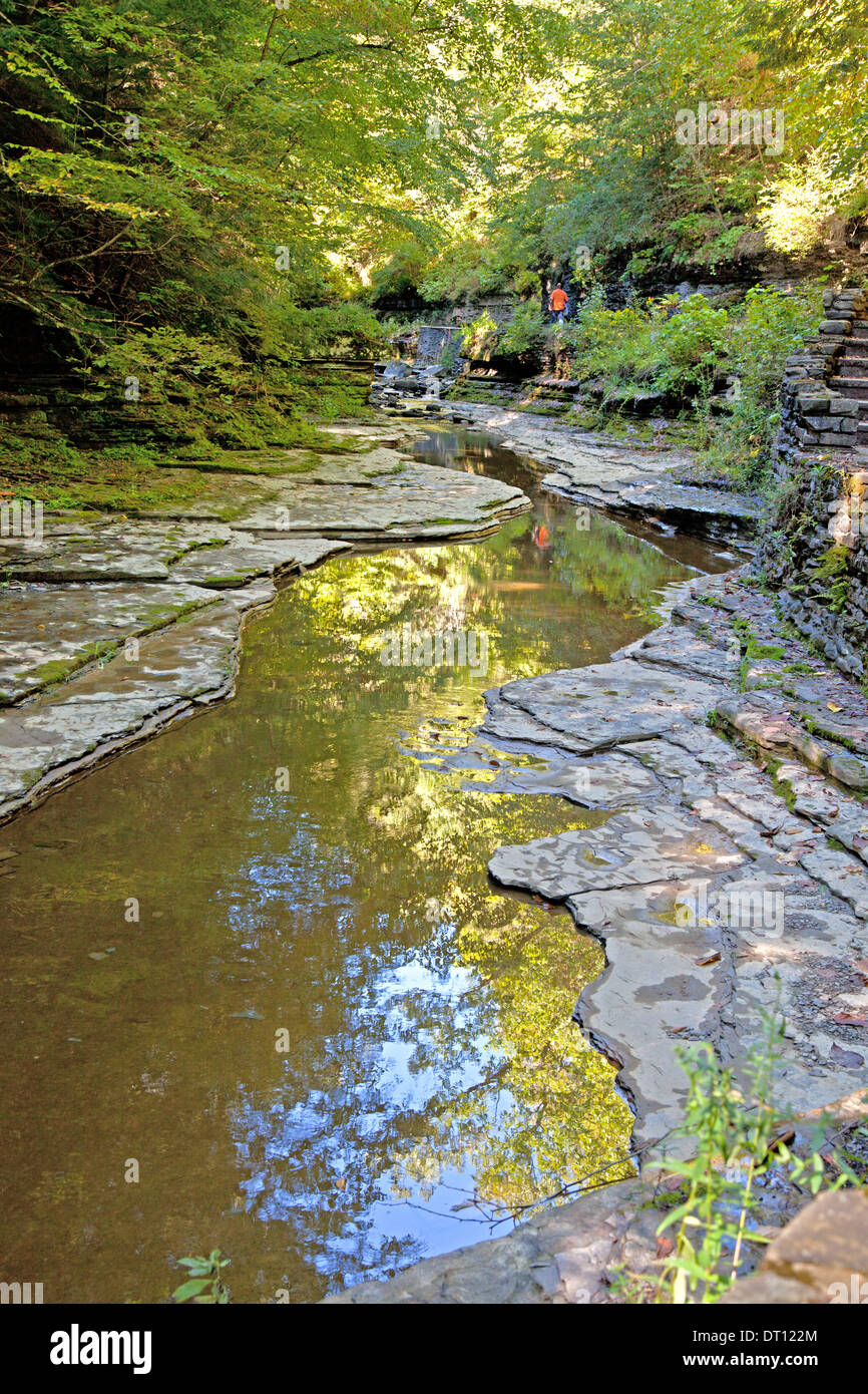 Der Schlucht Weg folgt einem schmalen Bach in Watkins Glen State Park, US-Bundesstaat New York. Stockfoto