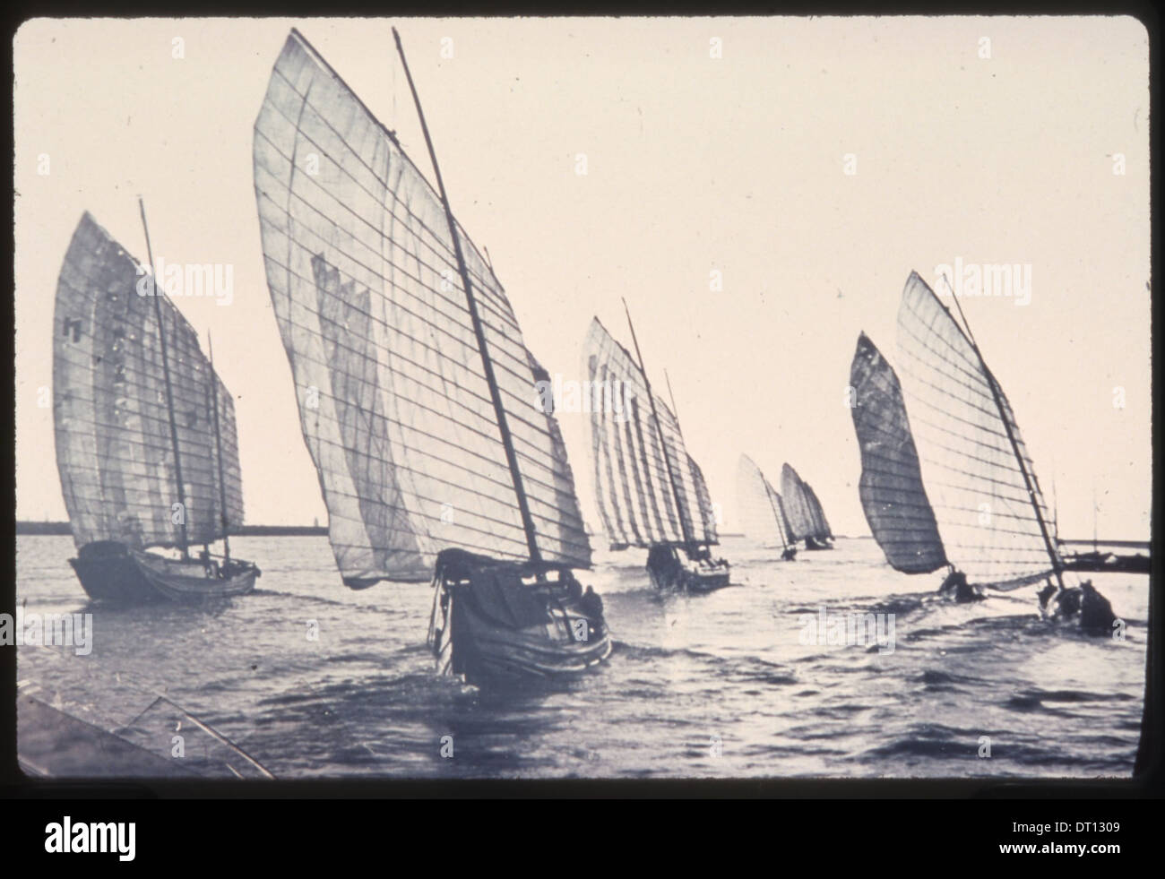 Eine Flotte von Getreidejunks segelt vor einem fairen Wind auf einem Fluss in Hunan, China, der zwischen 1900 und 1919 gefangen genommen wurde. Stockfoto