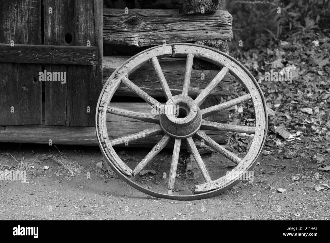 Bild aufgenommen im Great Smoky Mountains National Park Stockfoto