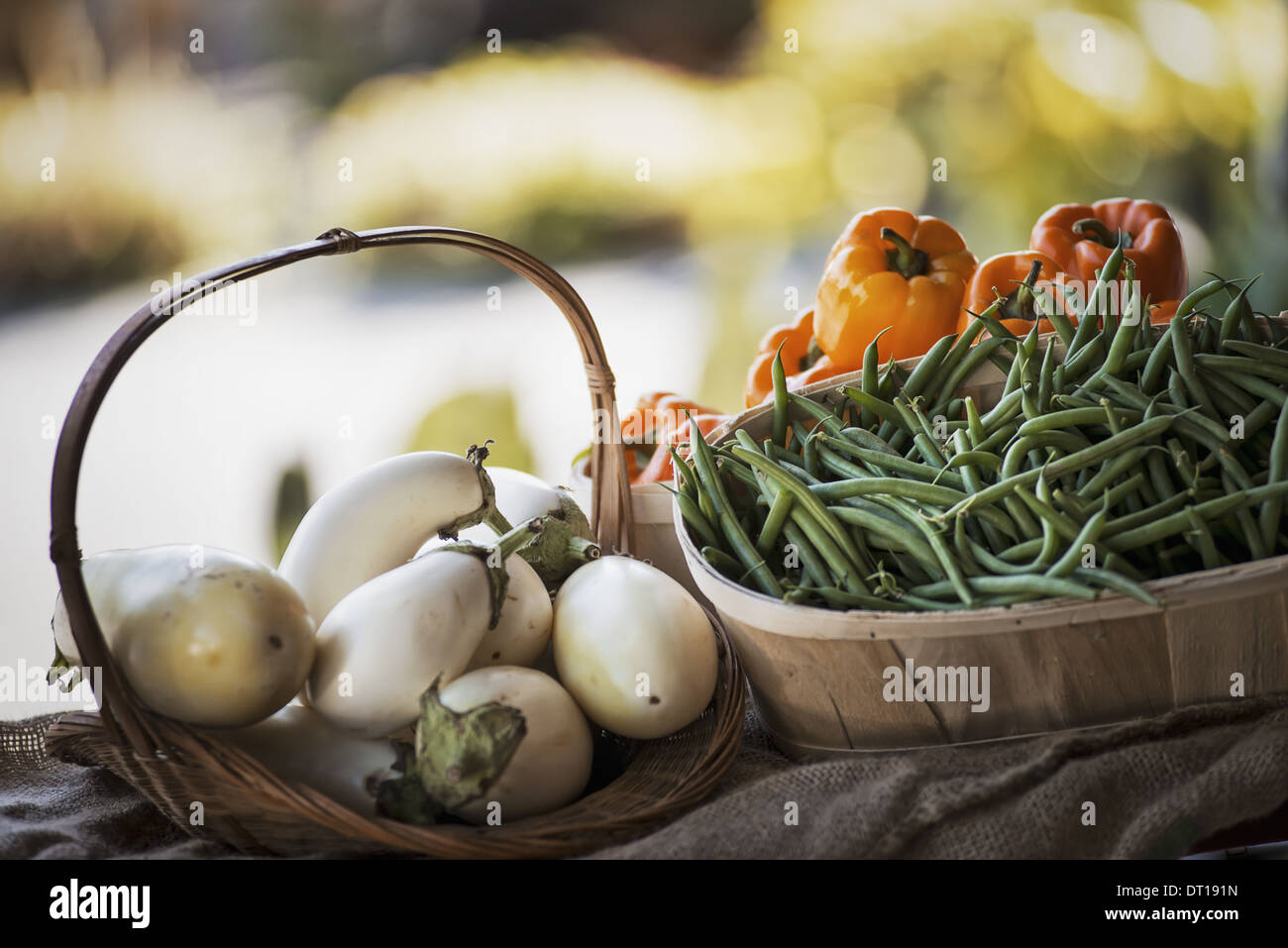 Woodstock New York USA Bio-Gemüse Auberginen Bohnen Paprika Stockfoto