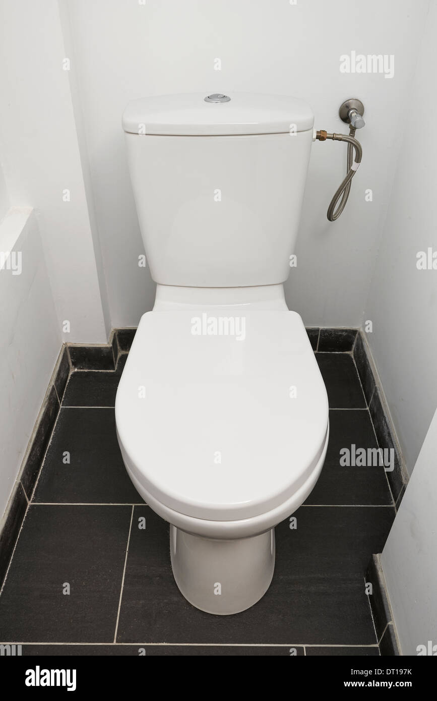 Hause Toilettenspülung Stockfoto
