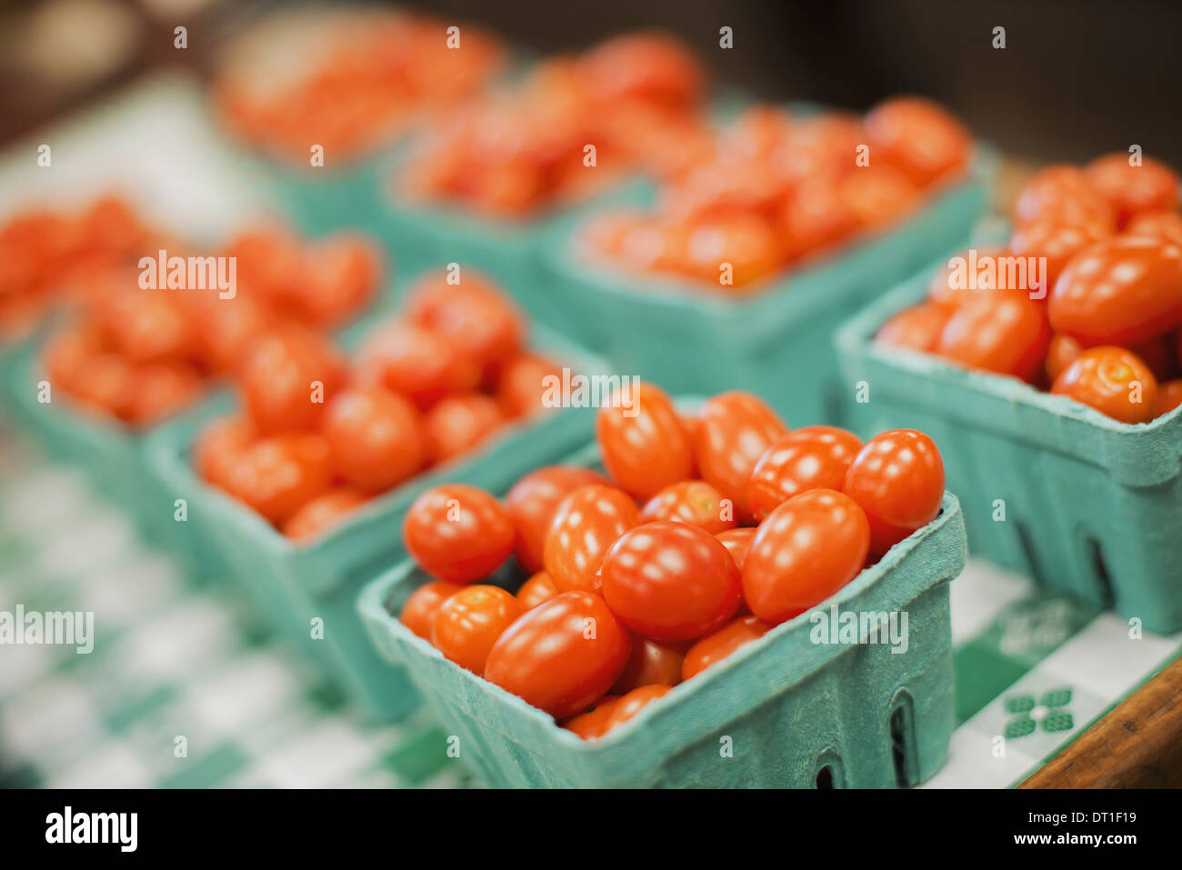 Eine Farm stehen grüne Kisten Tomaten Stockfoto