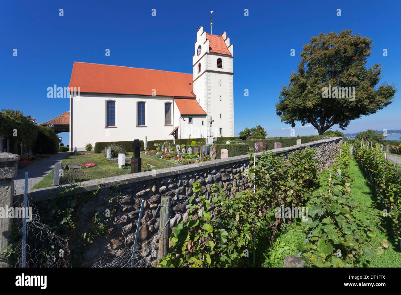 Kirche in Horn, Halbinsel Hori, Bodensee (Bodensee), Baden-Württemberg, Deutschland, Europa Stockfoto